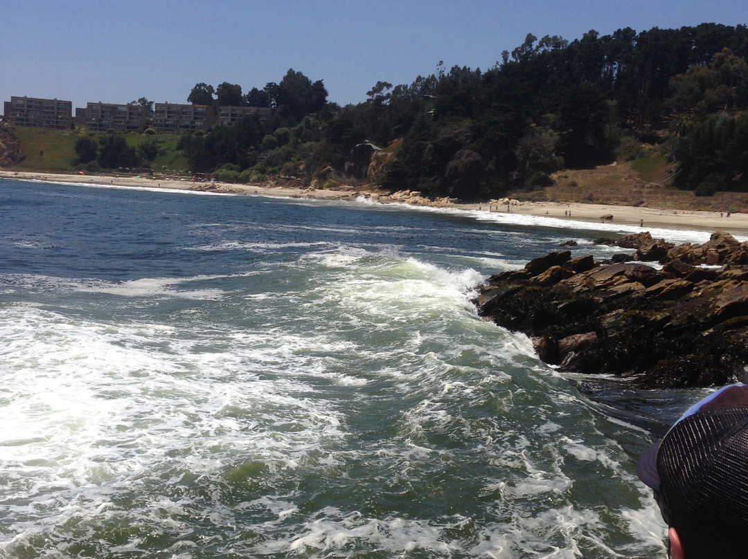 Caleta Horcón-瓦尔帕莱索必去景点