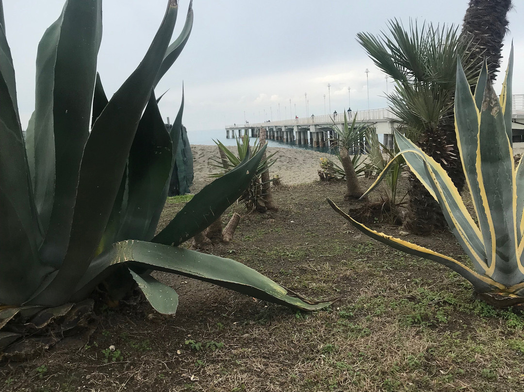 Pontile di Marina di Massa-Marina di Massa必去景点