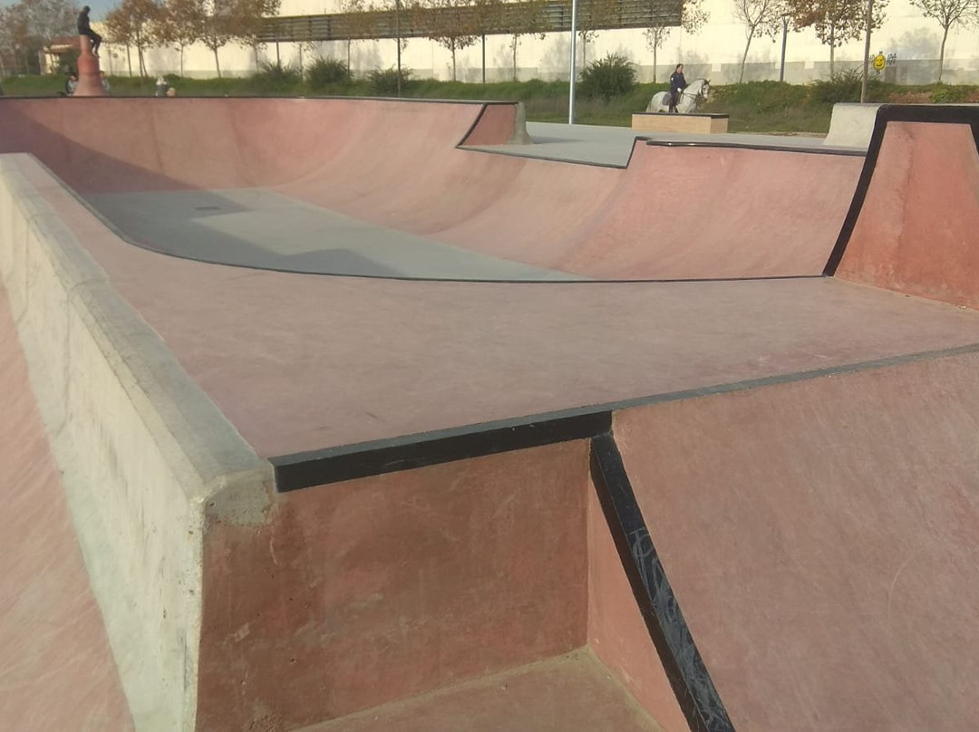 Skatepark Chapín景点图片