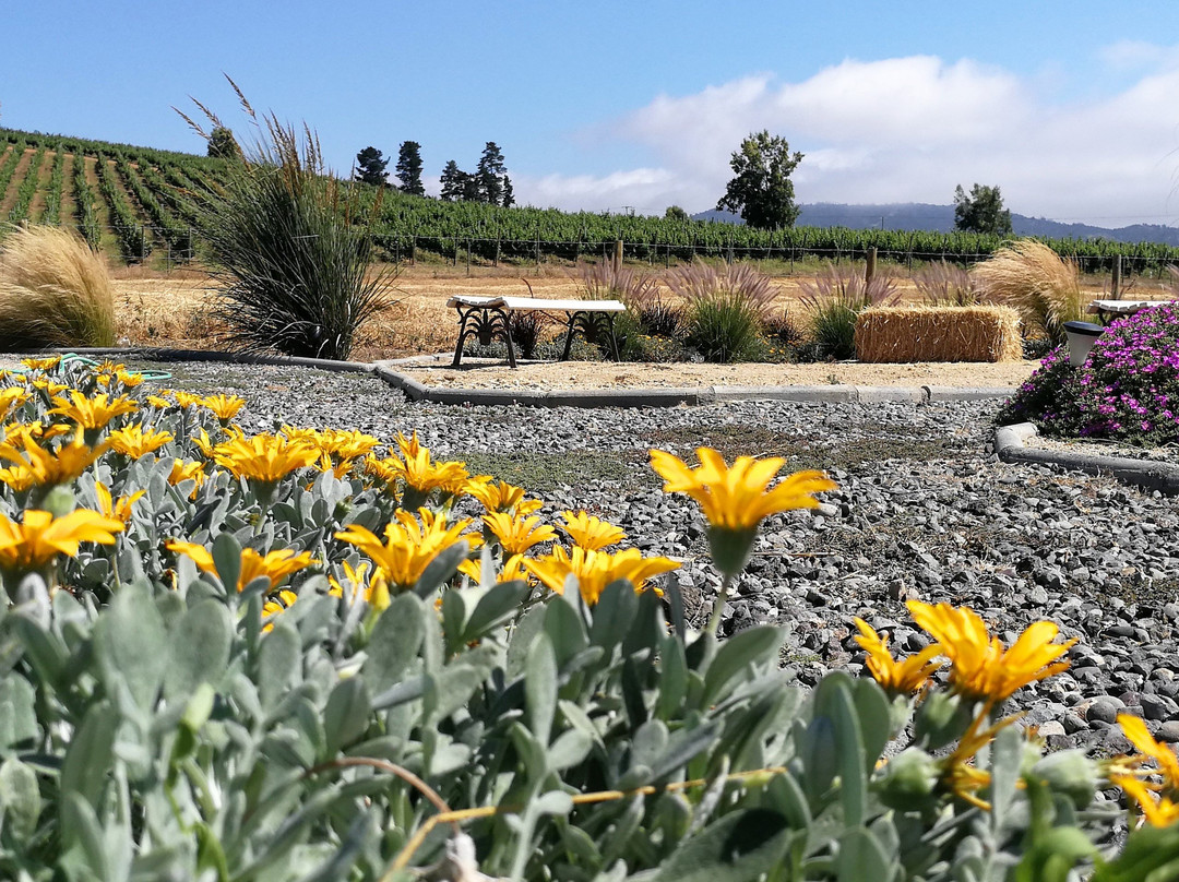 Observatorio Toki Kura-卡萨布兰卡必去景点