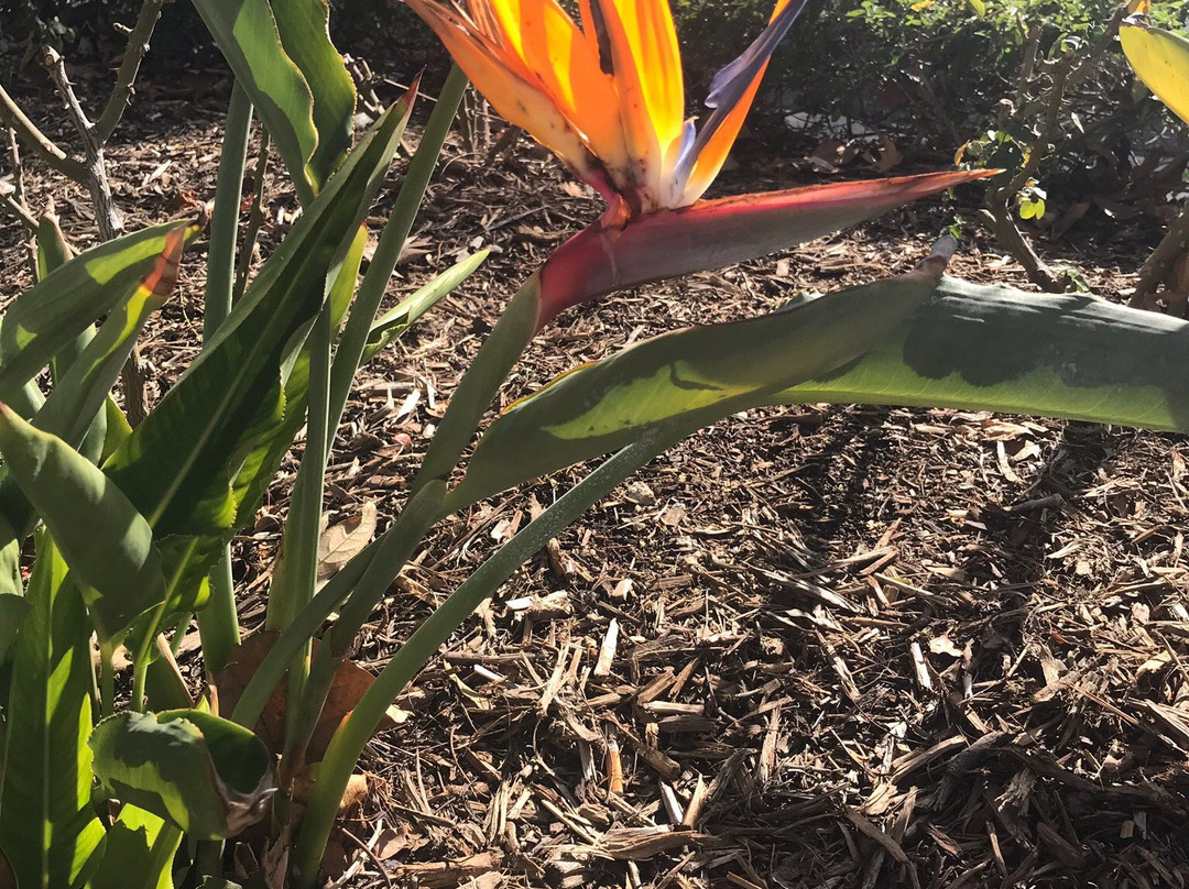 Valencia Town Center-圣克拉丽塔必去景点