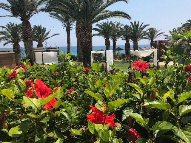 阿里恩滩酒店主图