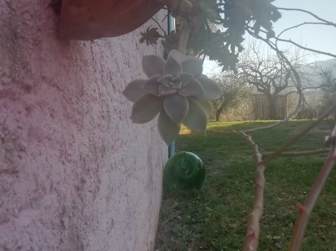 La Casa Della Nonna主图