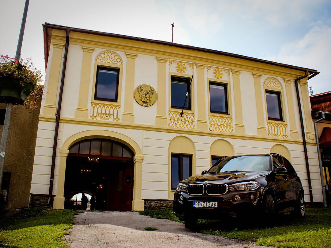 Club 9.Autentico主图