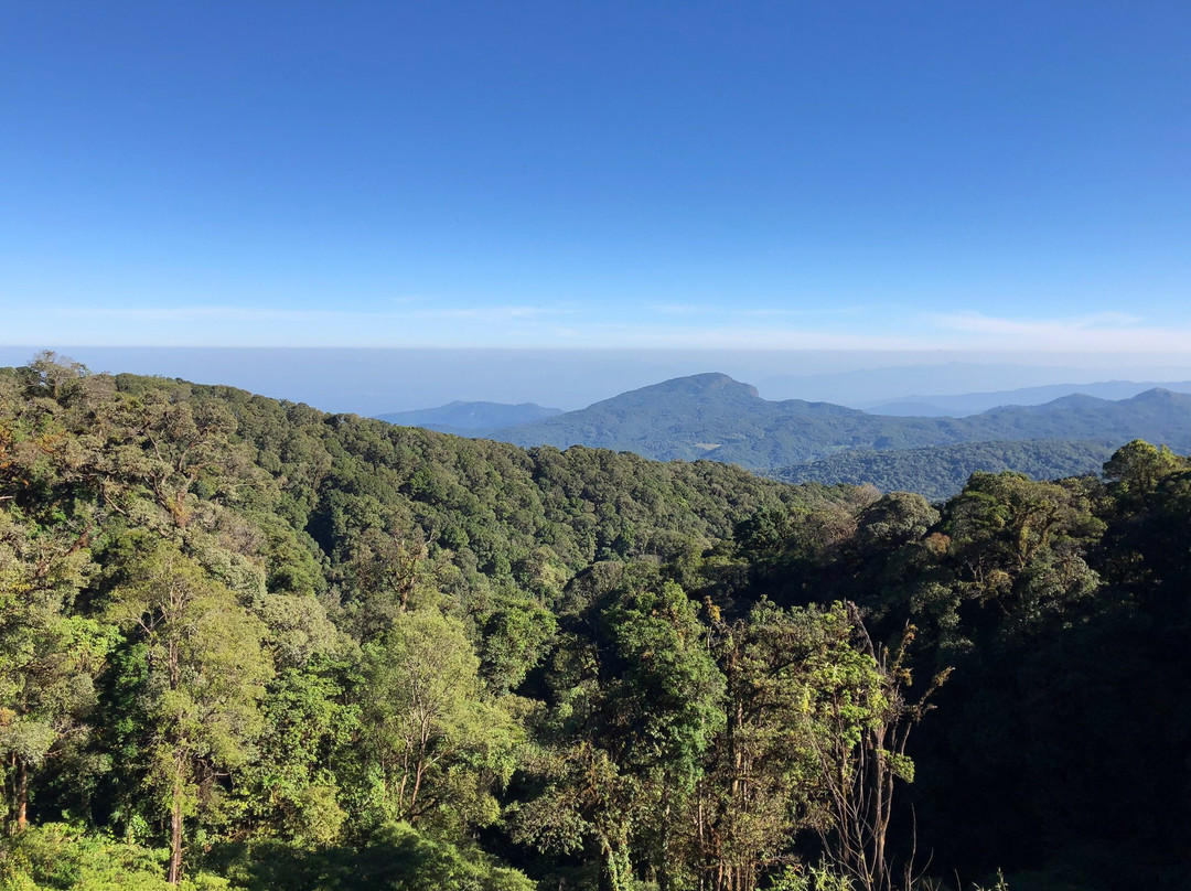 Doi Inthanon Riverside Resort主图