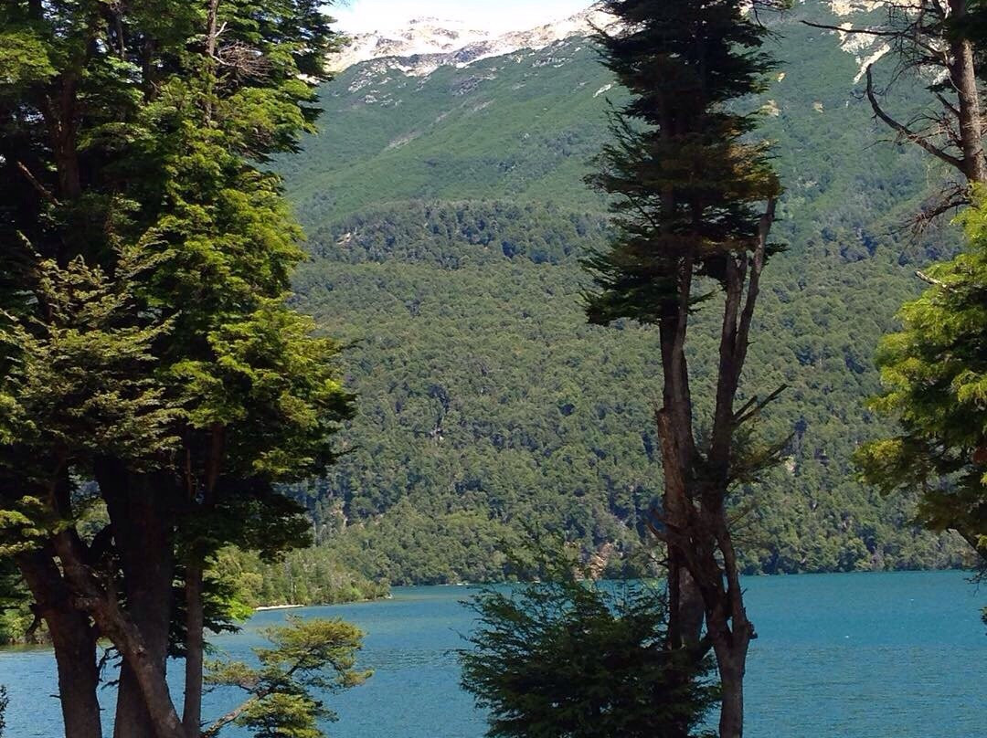 Parque Nacional Alerce Costero景点图片