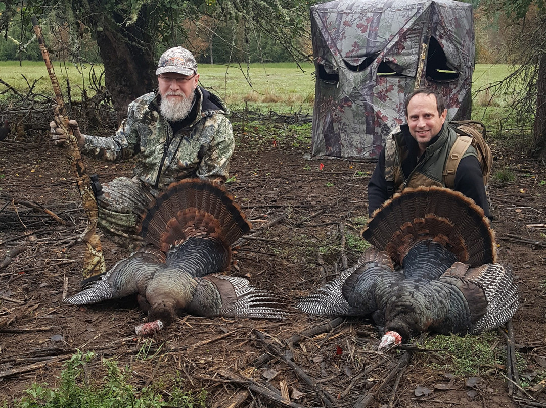 The Big K Guest Ranch and Outfitters主图