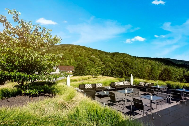 Midori Guesthouse主图