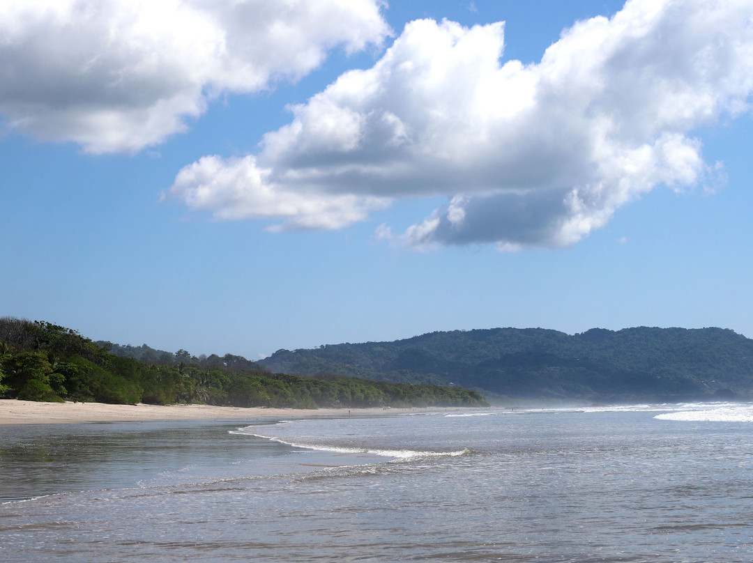 Blue Surf Sanctuary主图