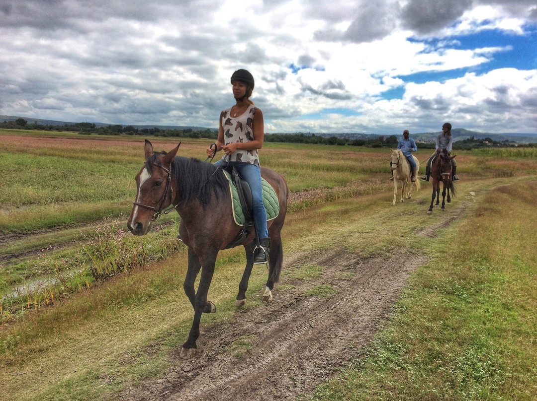 Granja Las Animas-圣米格尔护城必去景点