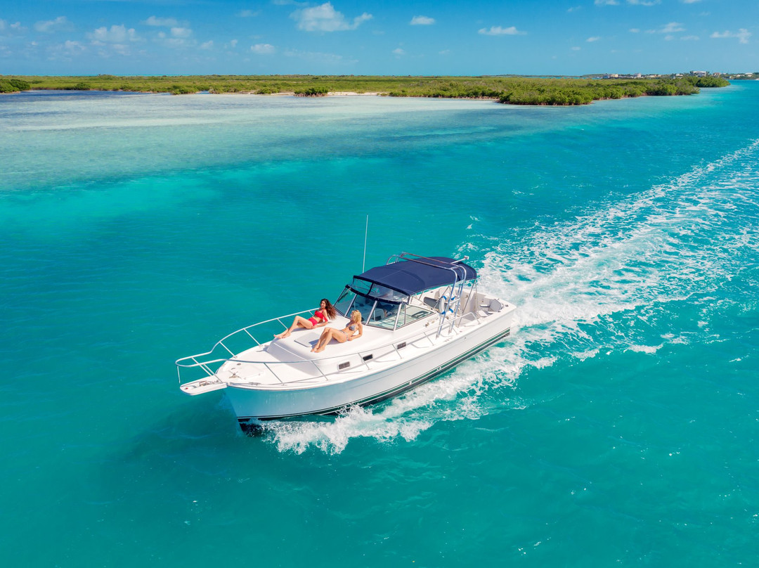 Sea Jay Cruises-格雷斯湾必去景点