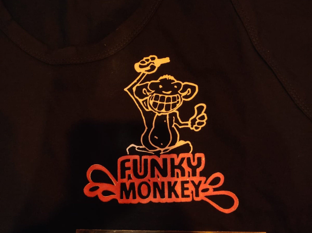 Funky Monkey景点图片