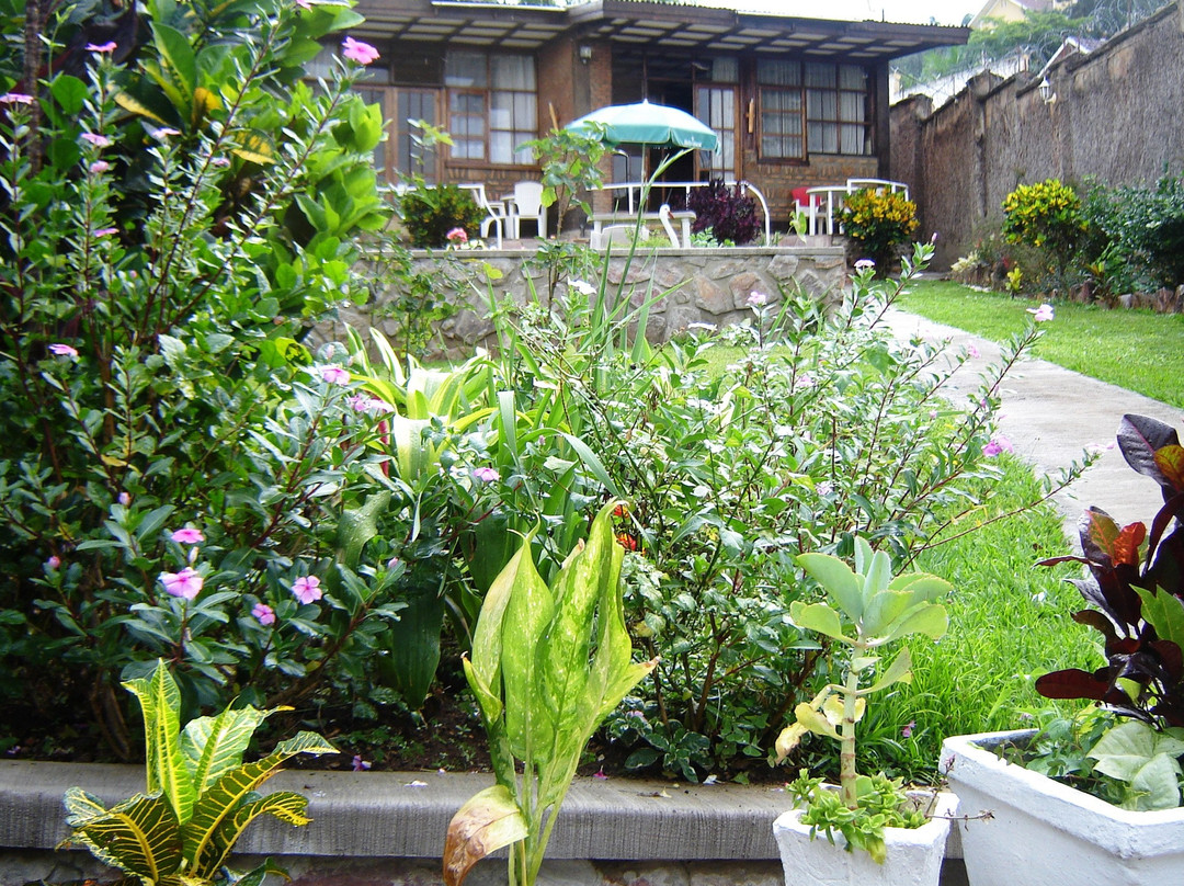 Vaya Apartments Services主图