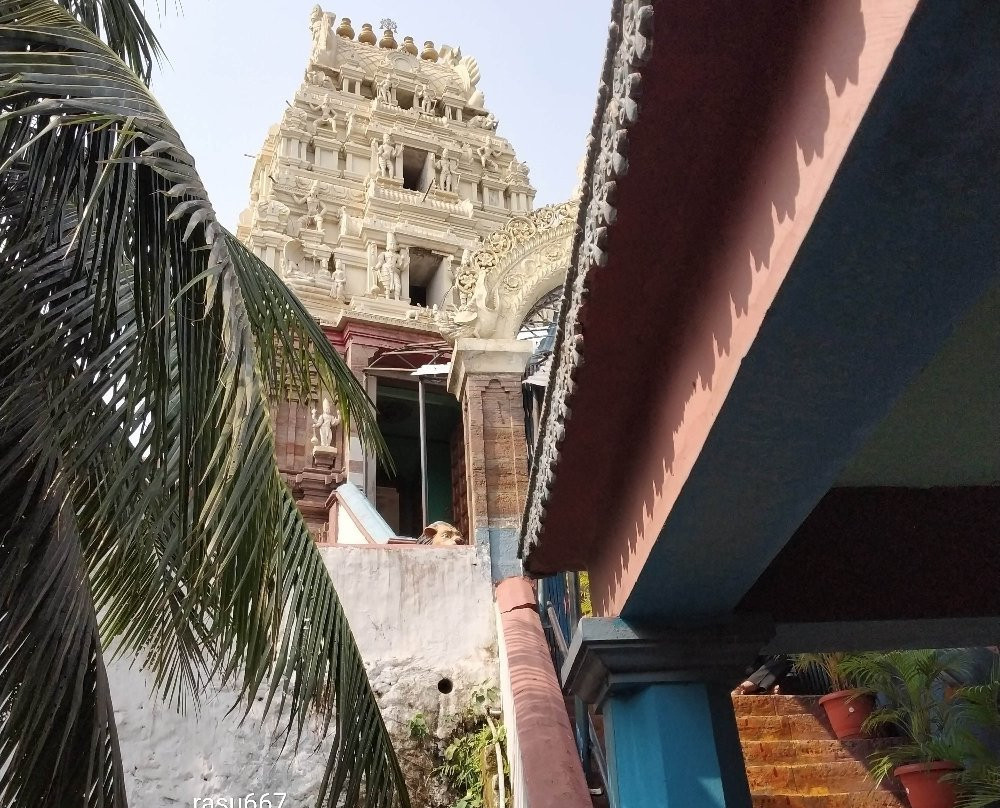 Sri Venkateswara Temple景点图片