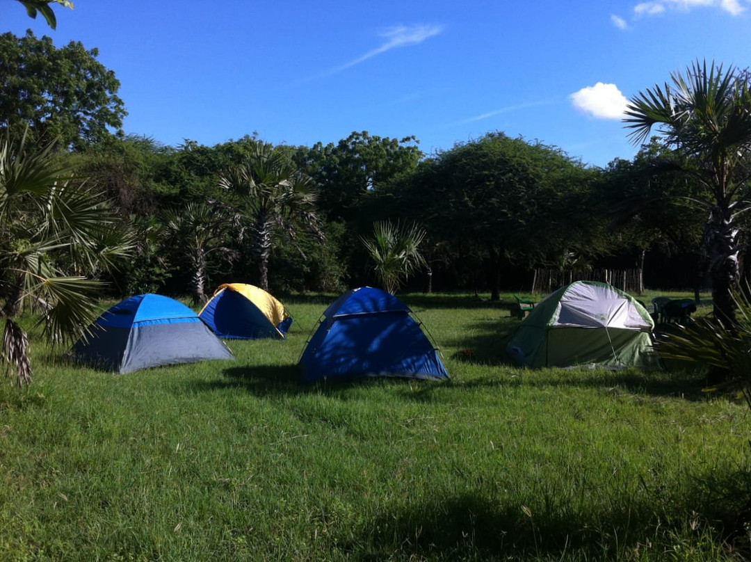 Nguuni Nature Sanctuary-蒙巴萨必去景点
