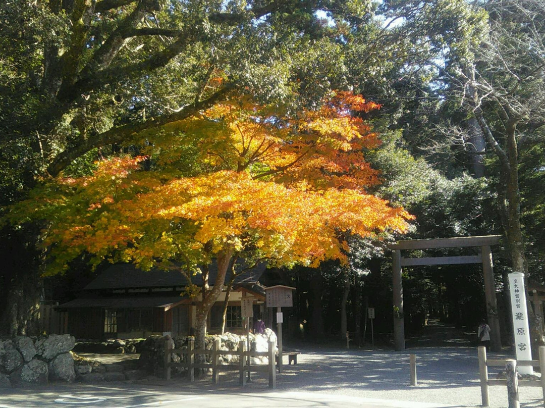 Takinomiya景点图片