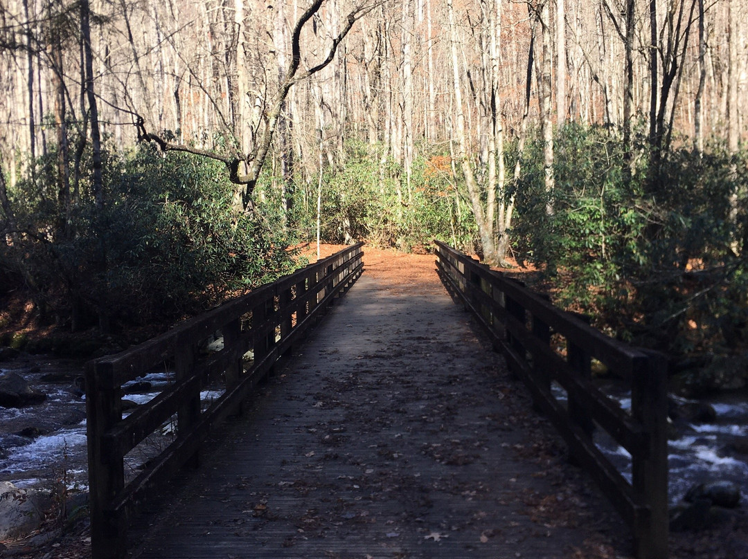 Newfound Gap Road景点图片