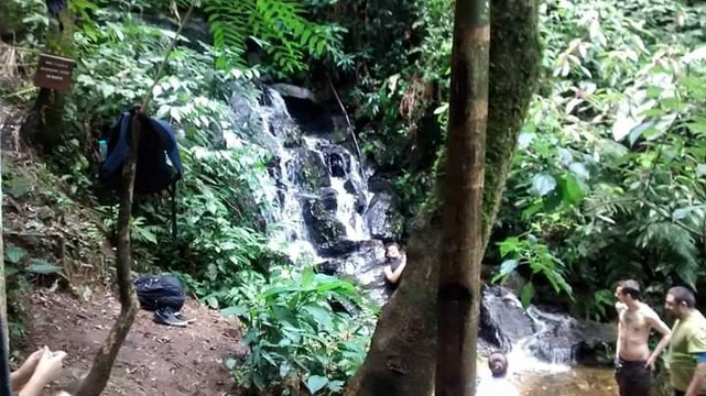 Parque Estadual Cantareira - Núcleo Cabuçu-瓜鲁柳斯必去景点