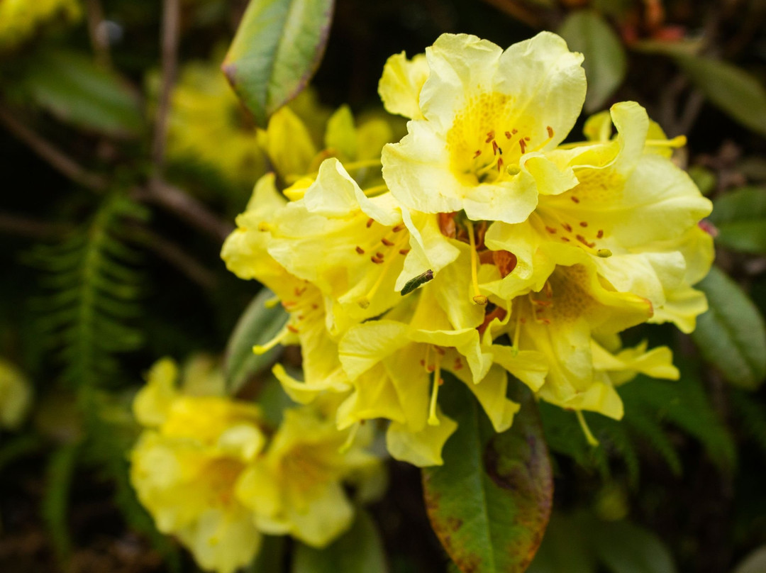 Palm Motel Waihi主图