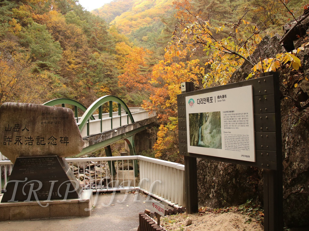 Darian Tour-丹阳郡必去景点