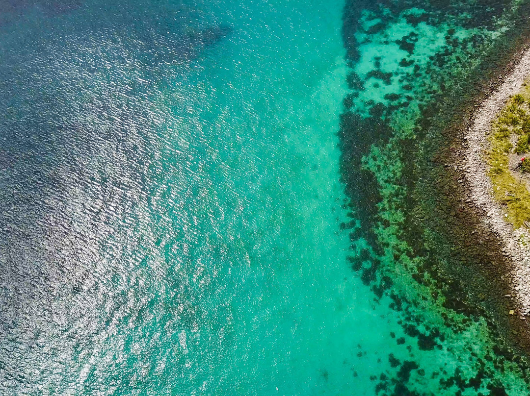 Slipper Island Resort主图