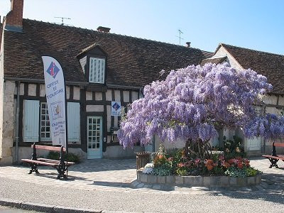 Office de Tourisme de Chateauneuf - Val de LOIRE & FORET d'Orleans景点图片