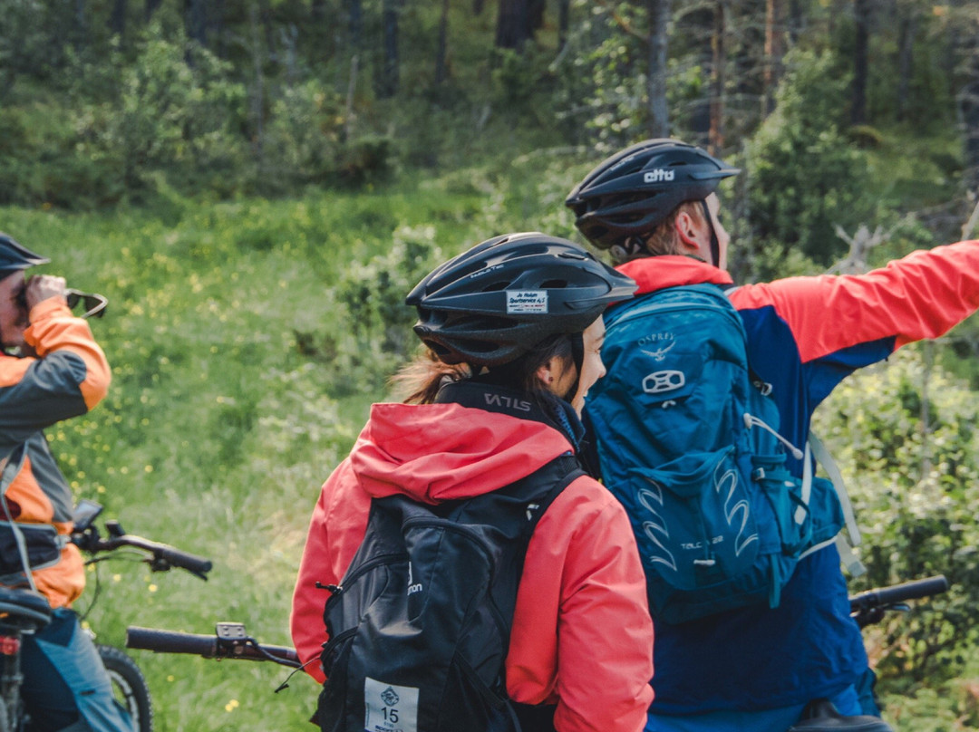 Dovrefjell Adventures景点图片