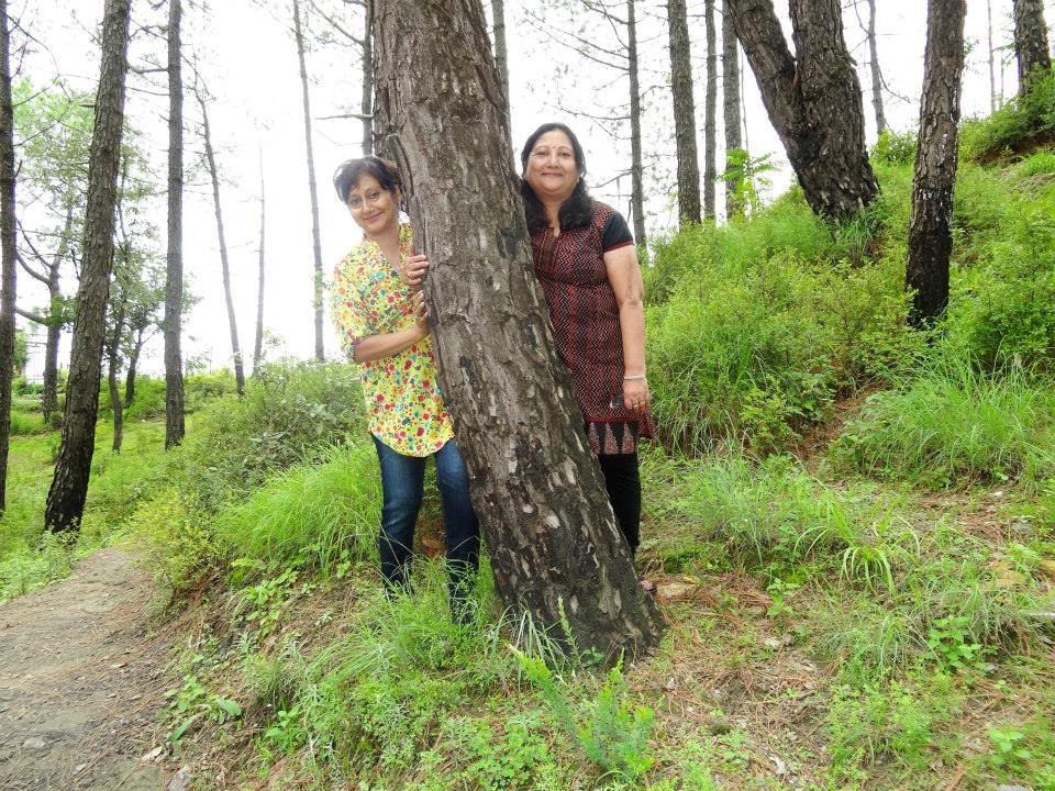 西姆拉阿莫德度假村主图