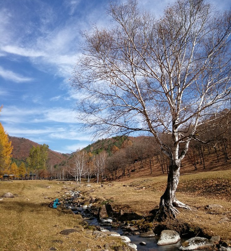 金山鹿苑-伊春市必去景点