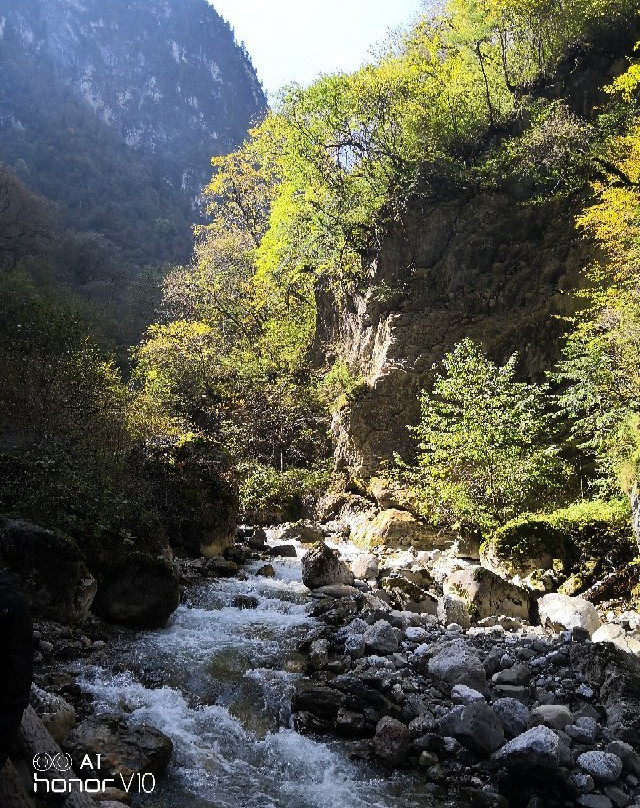 官鹅沟国家森林公园-宕昌县必去景点