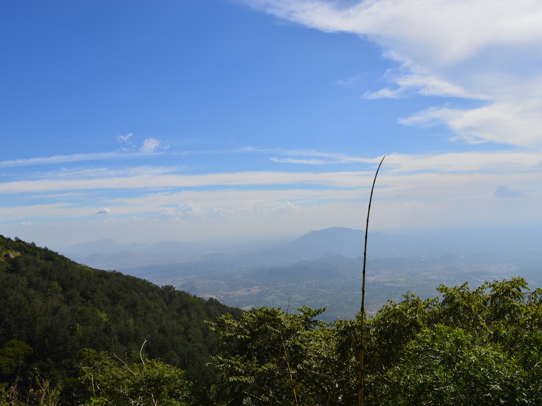 Yercaud景点图片
