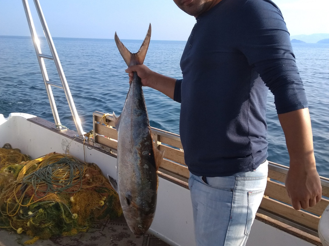 Lemnos Fishing Trips景点图片