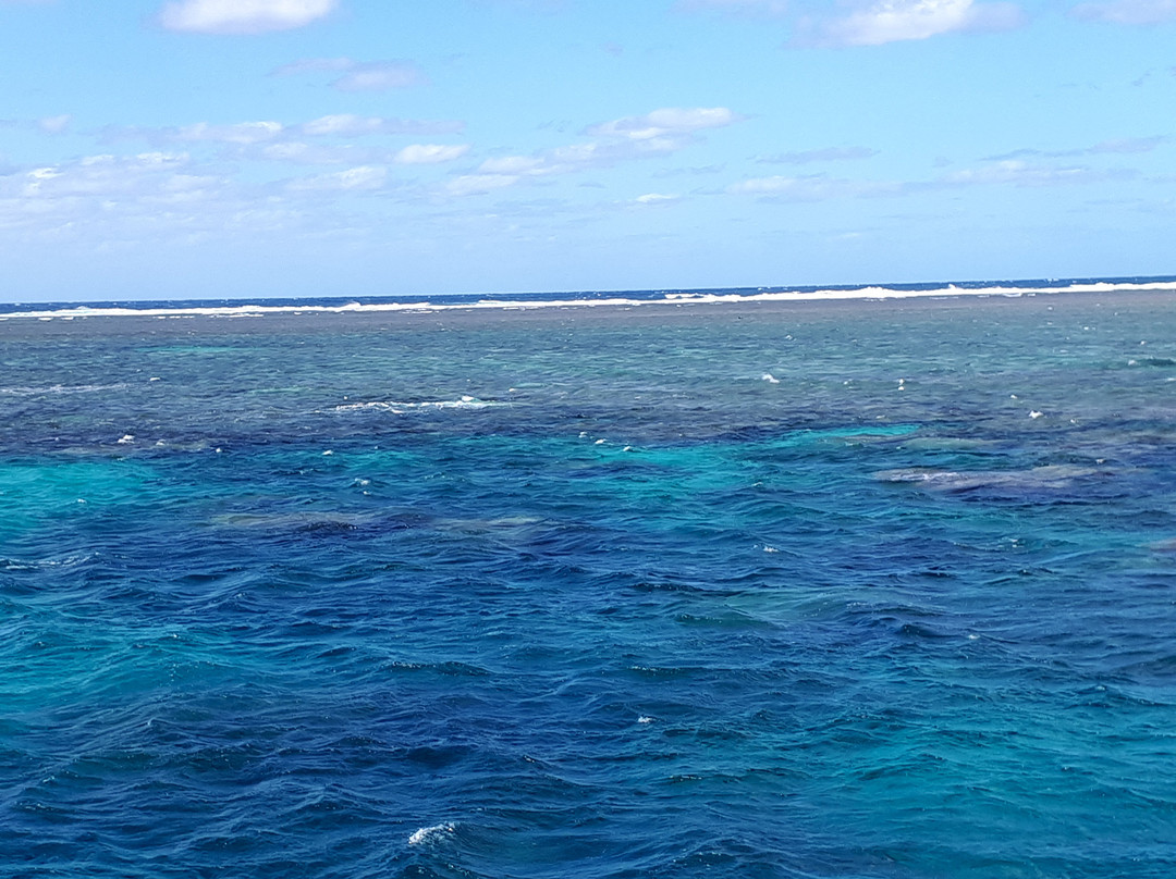 Opal Reef-道格拉斯港必去景点