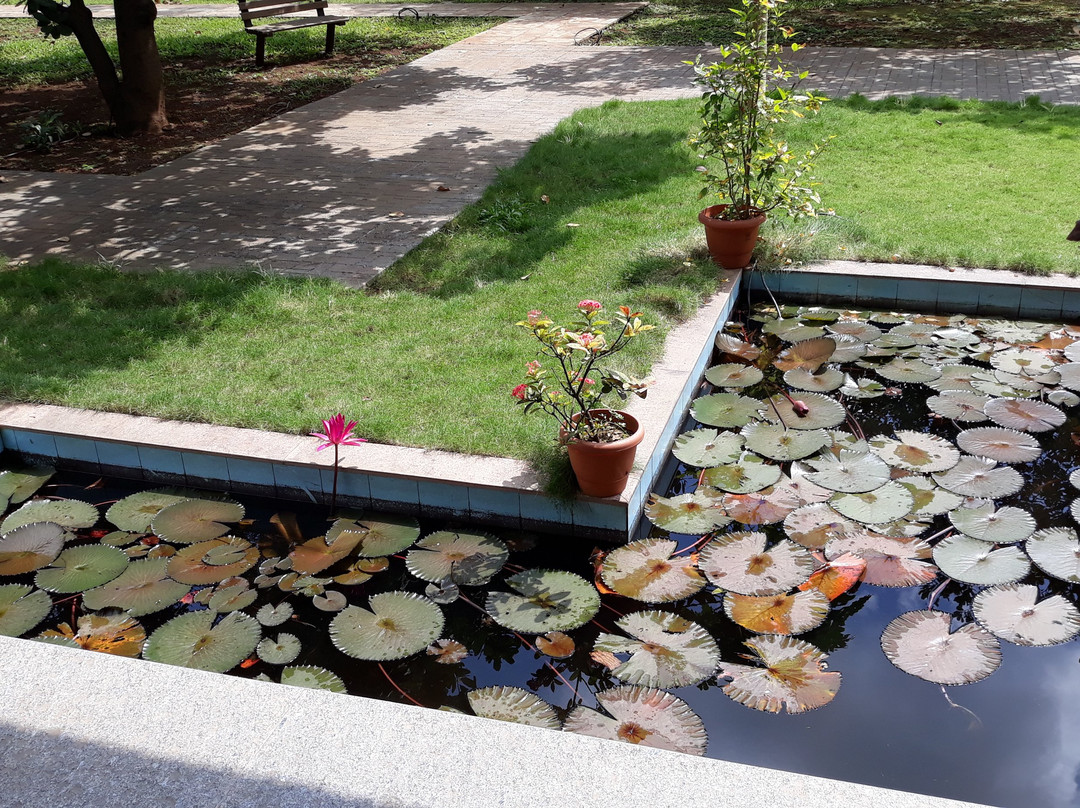 Agni Ayurvedic Village主图