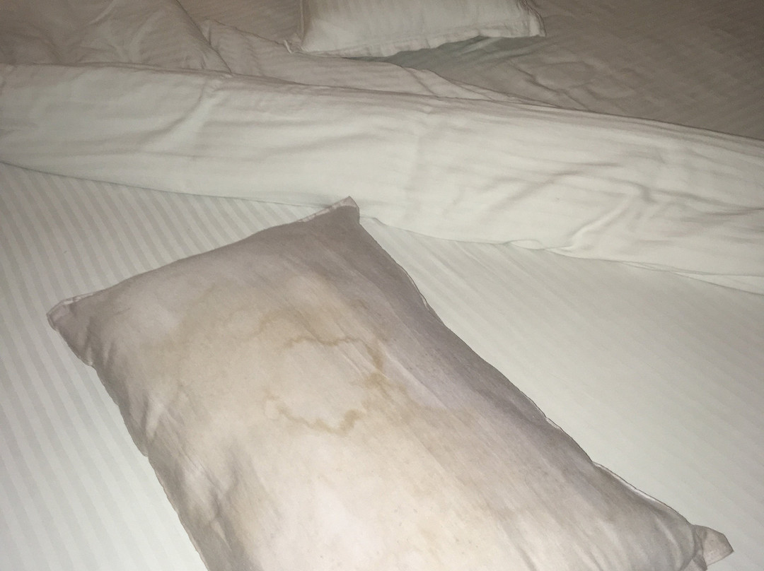 Hotel Sobti Continental主图