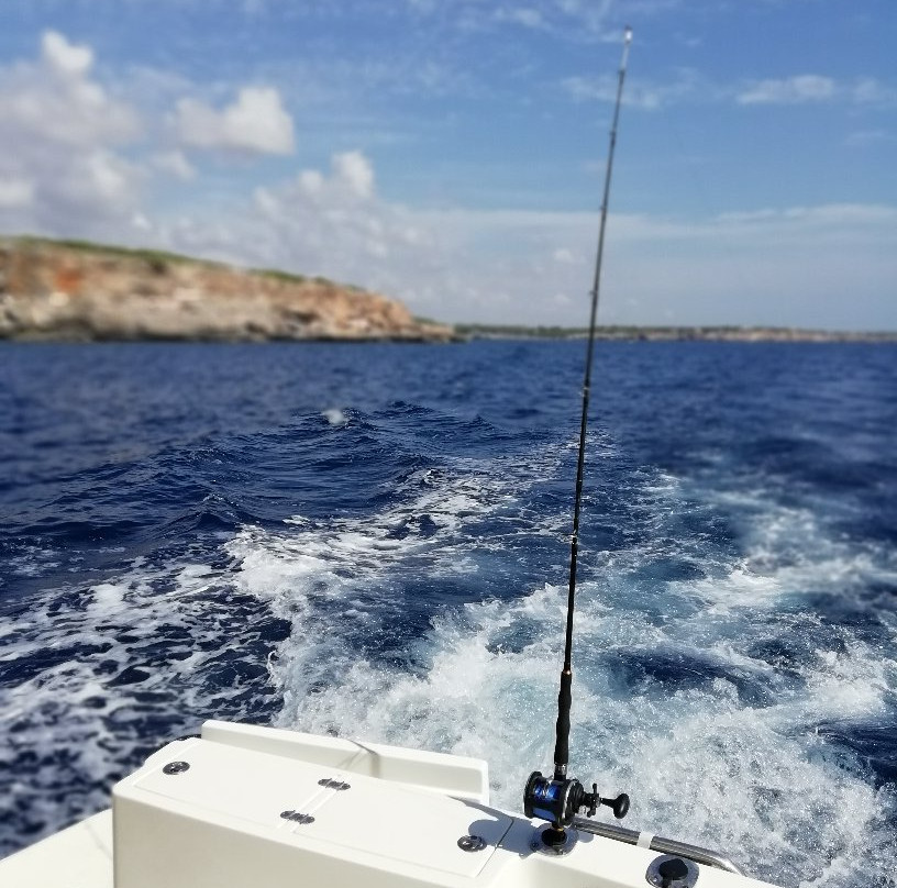 Sport Charter Fish-卡拉多尔必去景点