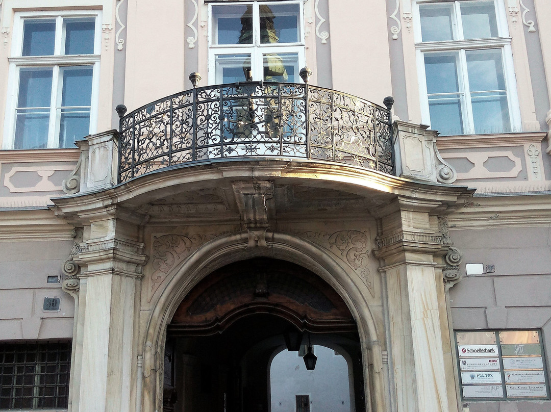 Palais Goess景点图片