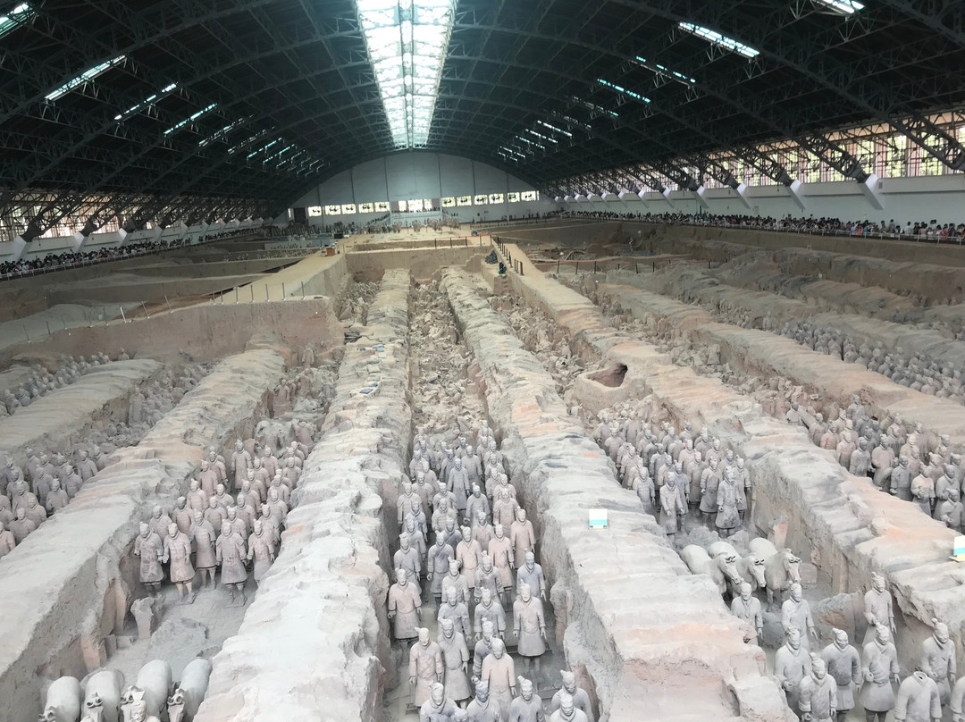 Xian Tour Expert - Day Tour-西安市必去景点