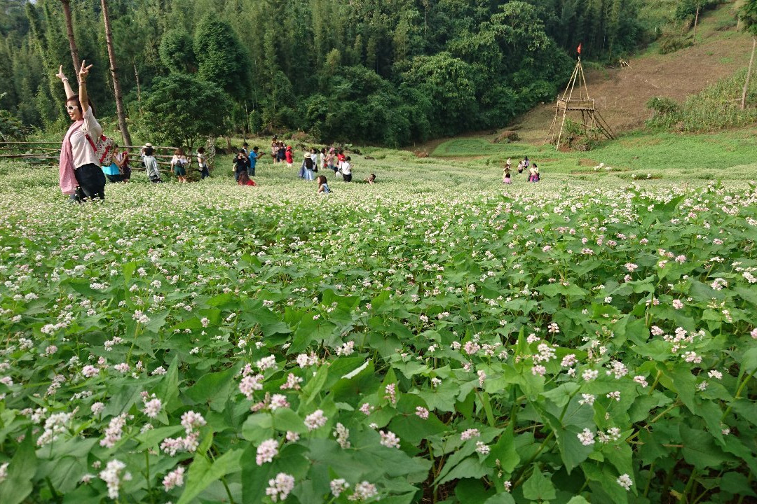 Suoi Giang - Yen Bai-Yen Bai必去景点