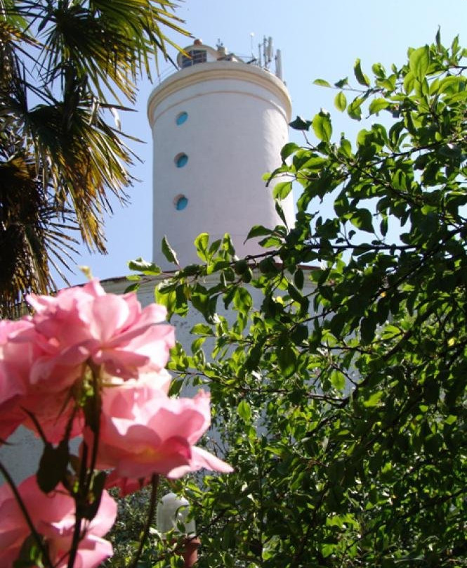 Mayak (Lighthouse)-连科兰必去景点