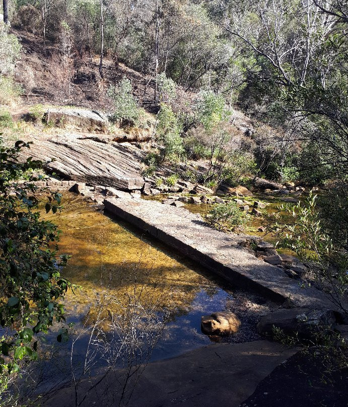 Ingleburn Reserve景点图片