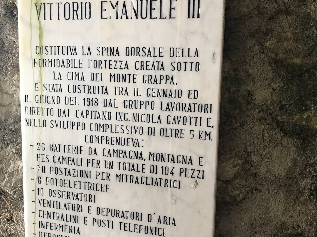 Galleria Vittorio Emanuele III景点图片