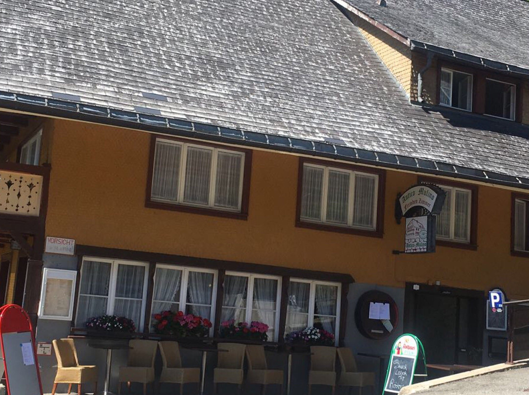 Gersbach酒店住宿-Antico mulino