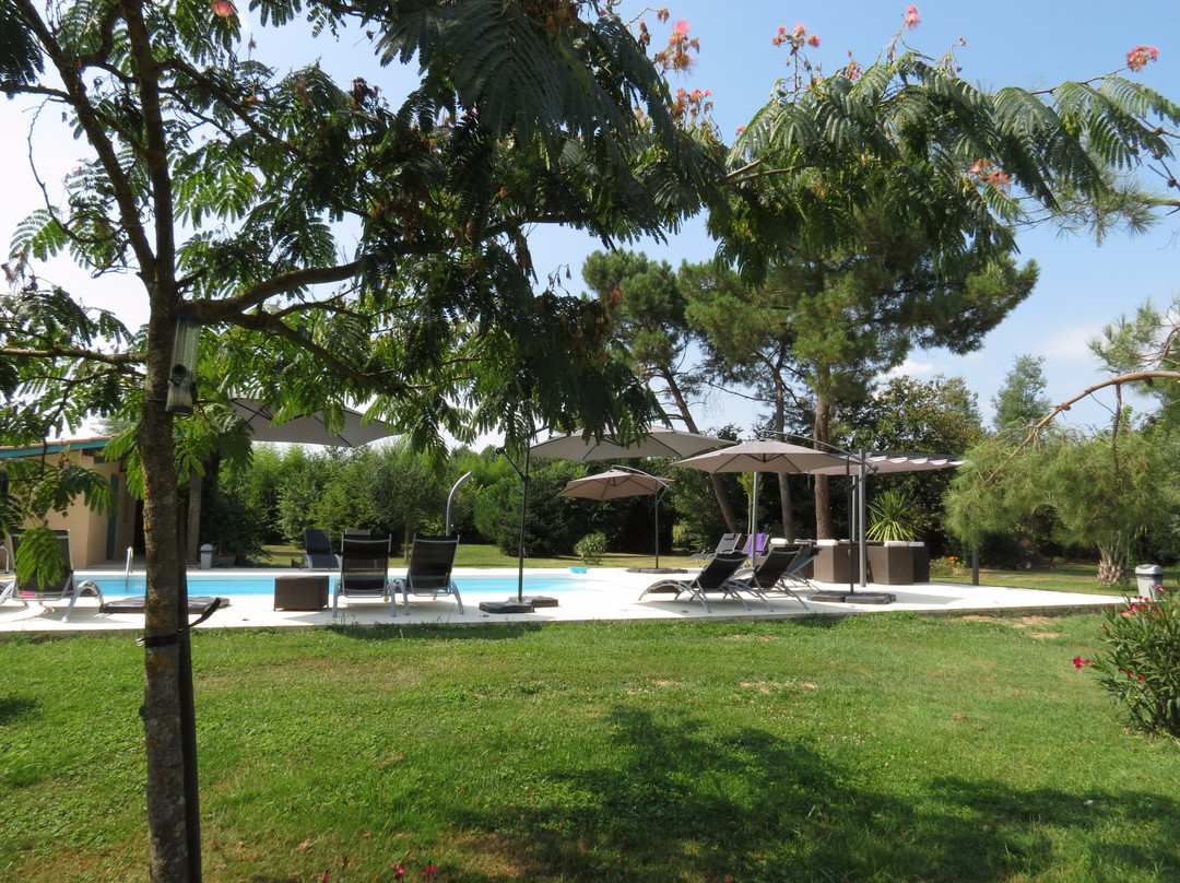 Les Terrasses des Mimosas主图