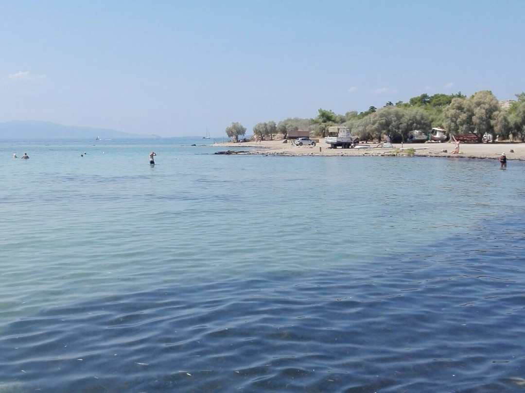 Avra Beach景点图片