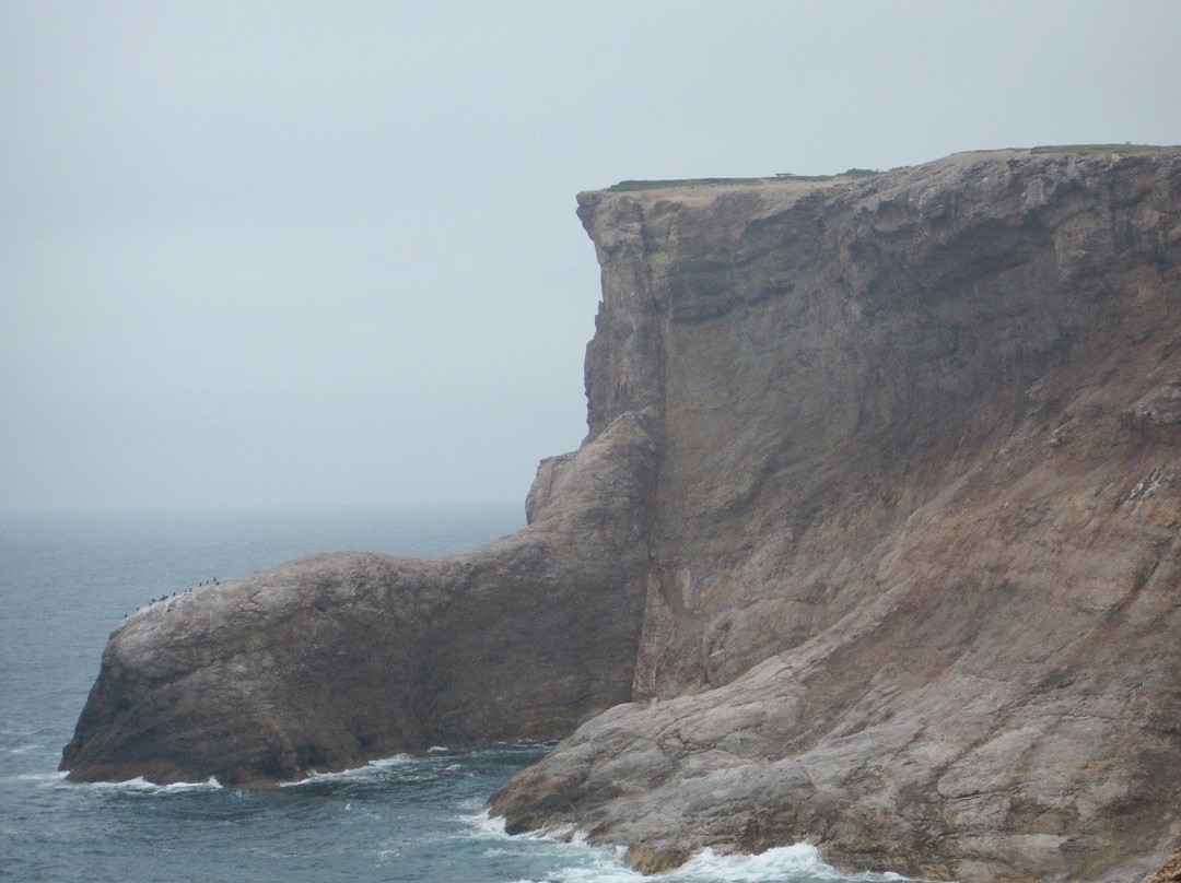 Inn at the Cape主图