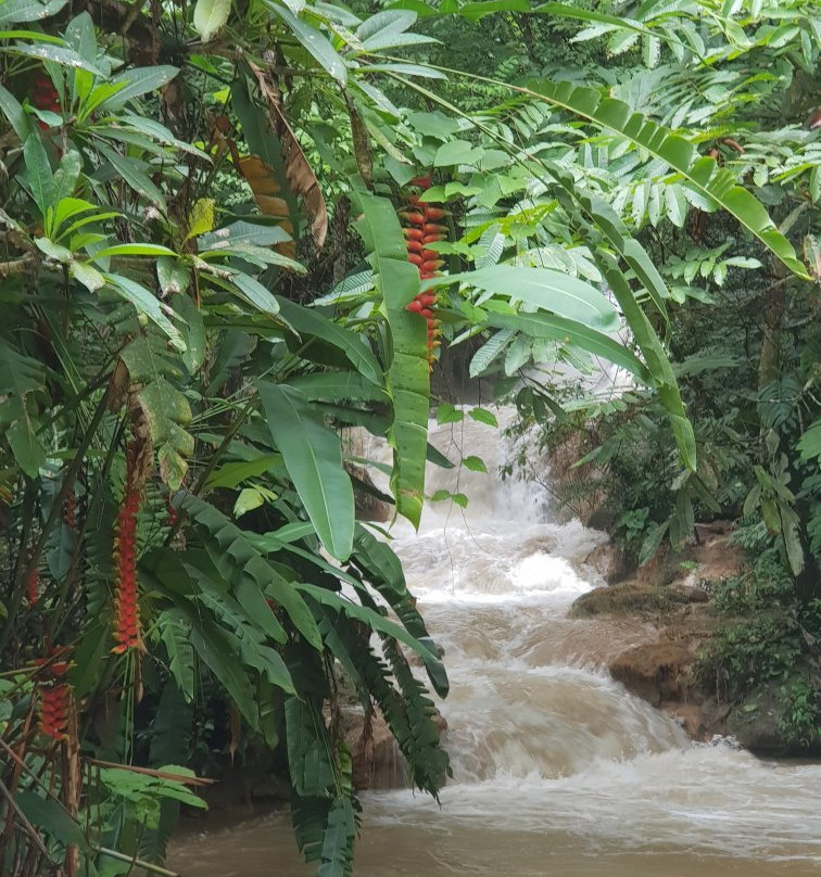 Tad Thong Waterfall-琅勃拉邦必去景点