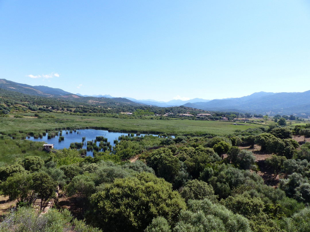 Serra-di-Ferro旅游景点-Etang de Tanchiccia