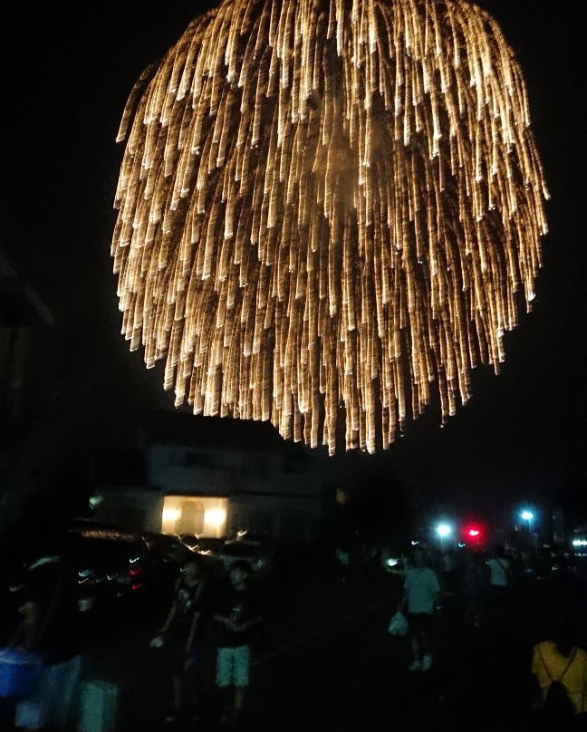 Sakura City Fireworks-佐仓市必去景点