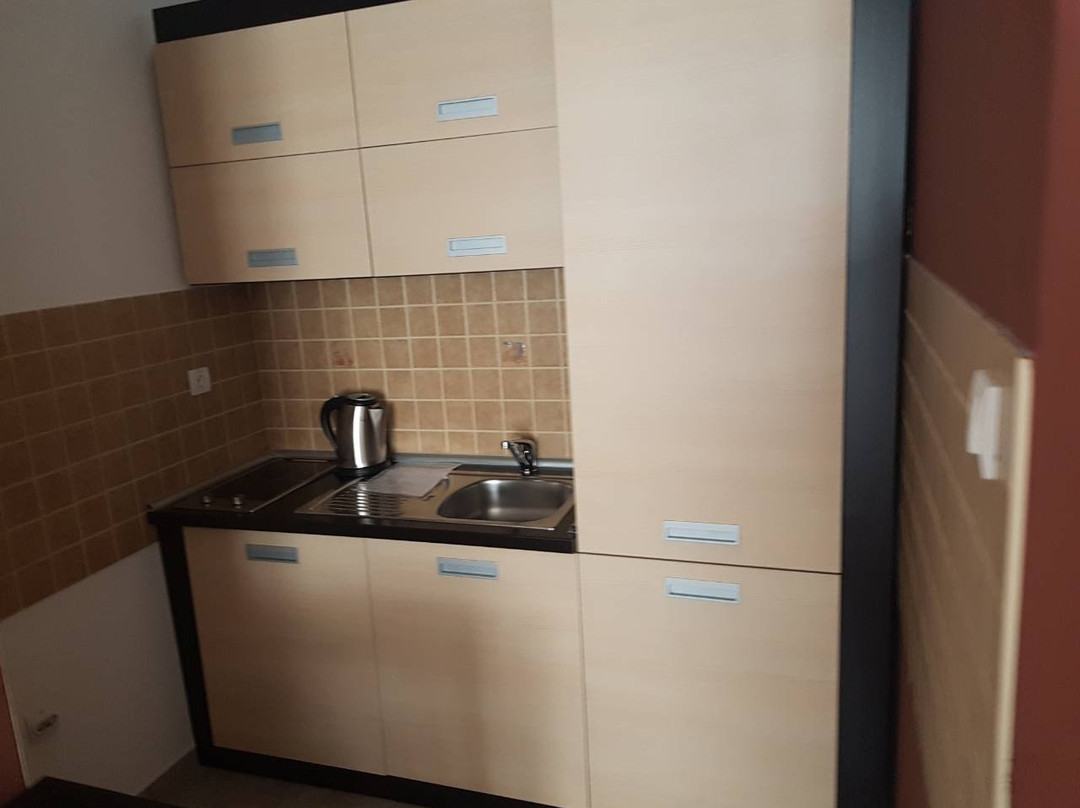 科帕奥尼克酒店住宿-Apart Hotel & Spa Zoned